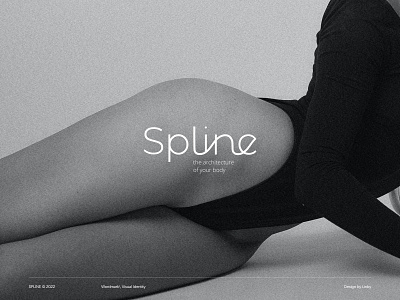 SPLINE/ Fashion brand