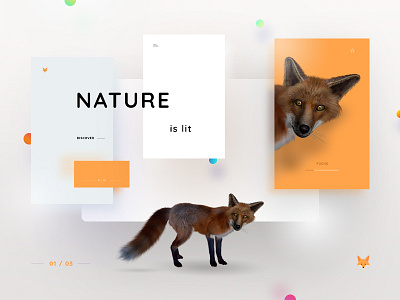 Natur Enciclopedia 3d animals board composition encyclopedia graphic design layout nature ui uiux web design