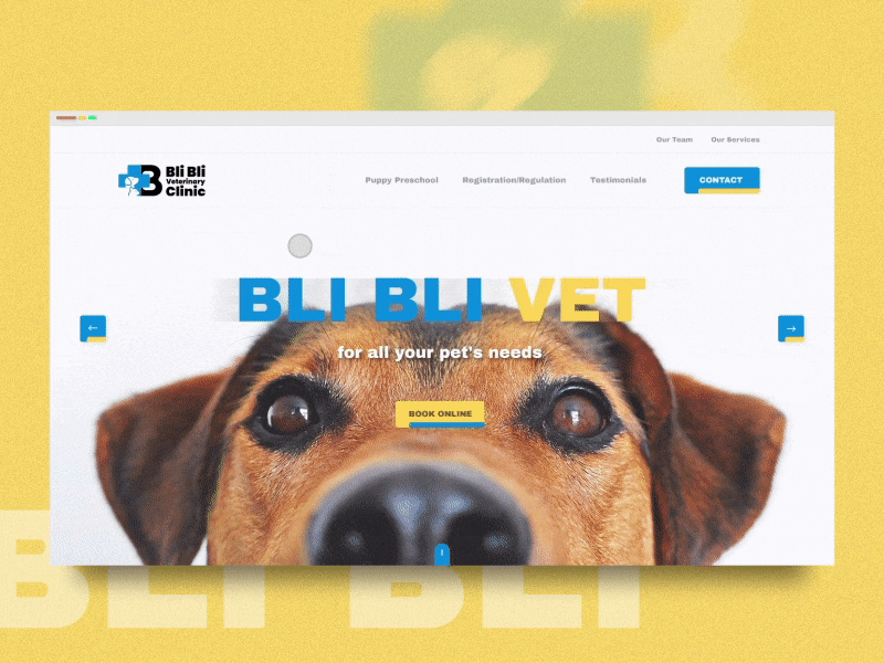 Bli Bli Veterinary Clinic - Webpage Navigation