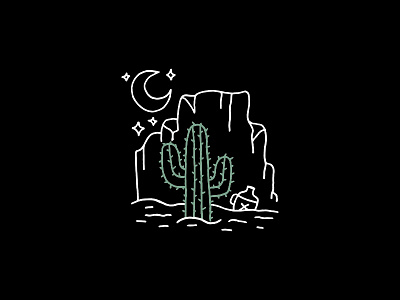 Desert Nights arizona cactus cowboy cowgirl desert desert night moon and stars night sky nighttime saguaro southwest