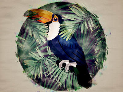 Hornbill_Digital Art art design designer digital illustration digital painting digitalart forest graphicdesign hornbill illustration illustrator plants tropical