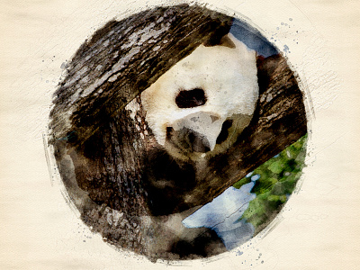Giant Panda_Digital Art art awareness design designer digitalart digitalpainting dribbble endangeredspecies illustration illustrator painting panda pandas photoshop vulnerable
