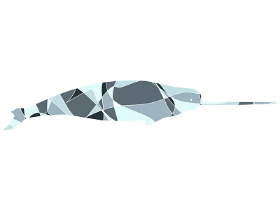 Broken Animals - Narwhal animal colour experiment illustration line narwhal tablet test