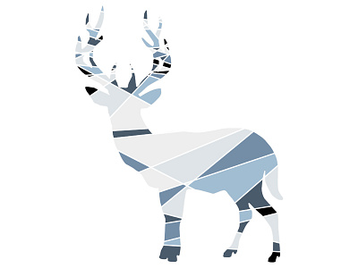 Broken Animals - Stag animal colour experiment illustration line stag tablet test