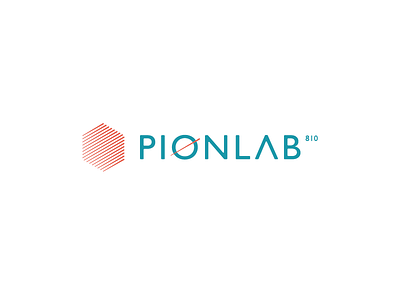 Pionlab ci corporate identity lab logo pion pionlab