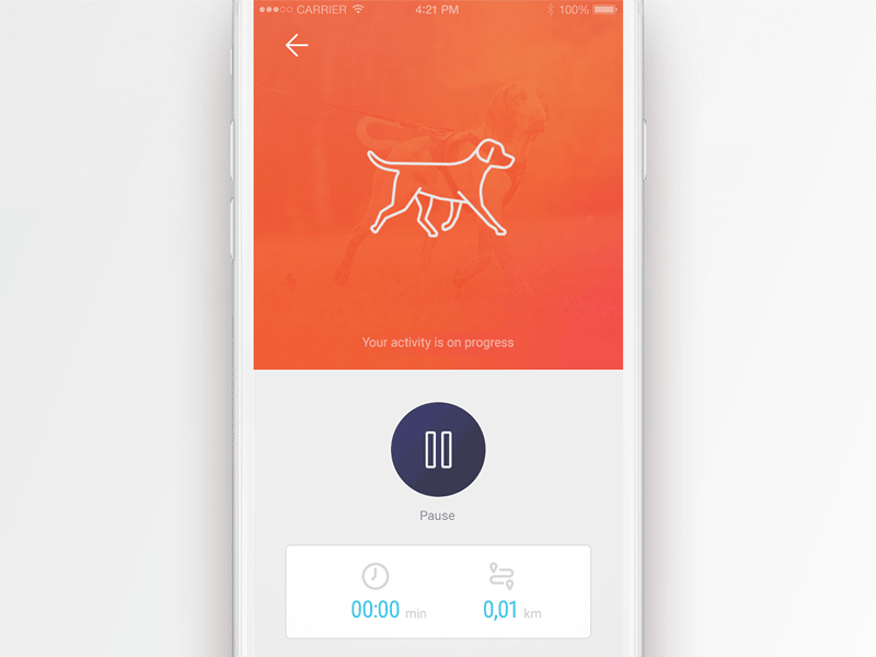 Fibo app app app animation app concept design dog fibo fitness interface mobile pet product design ui