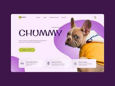 CONCEPT for a pet store in Figma concept design page pet store ui web design
