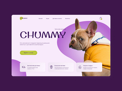 CONCEPT for a pet store in Figma