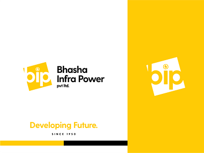 Bhasha Infra Power