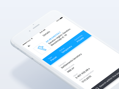 Object details