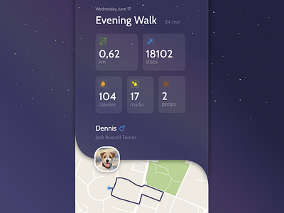 Dog walking tracker activity activity tracker clean design dog iconography illustration map minimal mobile monitor simple ui walking