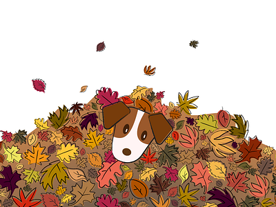 Autumn autumn colorful coverphoto dog leaves simple