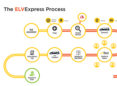 ELV Express Process Flow Infographic