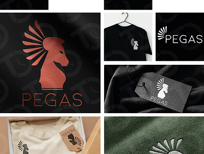 Pegas Logo branding design graphic design logo