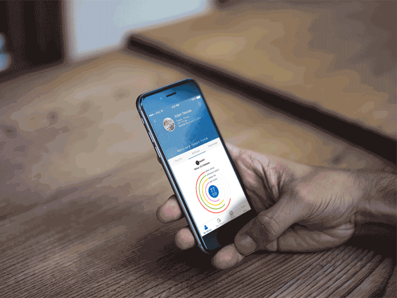 Dashboard Animation app baseball concept iphone