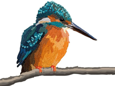 Kingfisher birds drawing paint3d