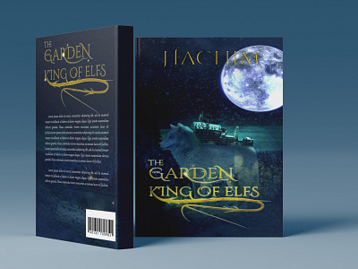 Fantasy book cover design design graphic design illustration minimal typography