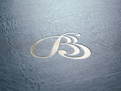 Calligraphy logo, BB. branding calligraphy design lettering logo mark print typography vector vintage