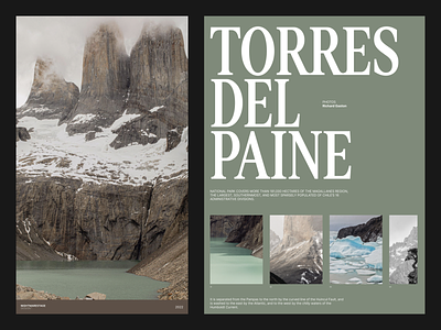Patagonia Article - Layout design graphic layout minimal nature patagonia simple typography web
