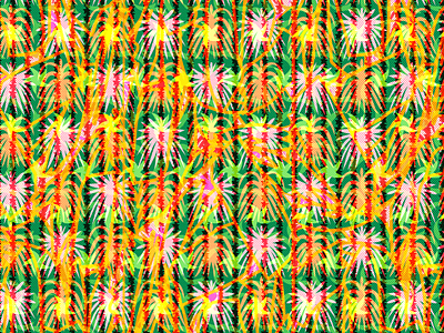 You're a firework design firework holiday illustration packaging pattern design repeat pattern surface pattern design tropical