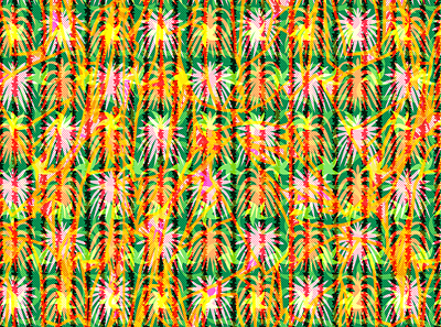 You're a firework design firework holiday illustration packaging pattern design repeat pattern surface pattern design tropical