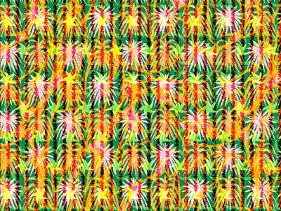 You're a firework design firework holiday illustration packaging pattern design repeat pattern surface pattern design tropical