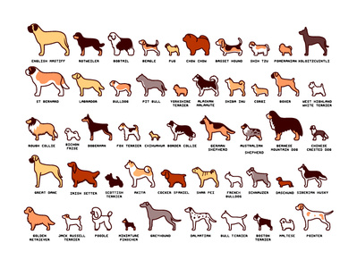 Dog Breeds Set breeds dog dog icon group logos poster