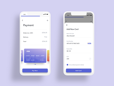 Credit/Debit Card Payment UI app app design apps apps design check out clean daily challange dailyui dailyui 002 design graphic interface ios mobile payment ui ux vector