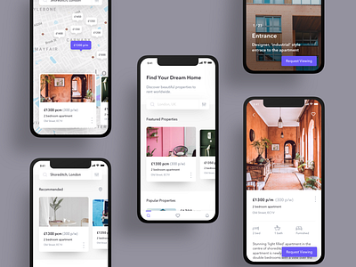 Real Estate App Concept