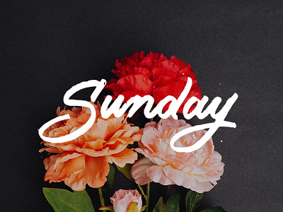 Sunday flowers handdrawntype handlettering lettering letters sunday tbks theboredkids type typography