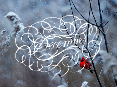 December calligraphy customtype december design flourishes handlettering holidays lettering scriptlettering typography