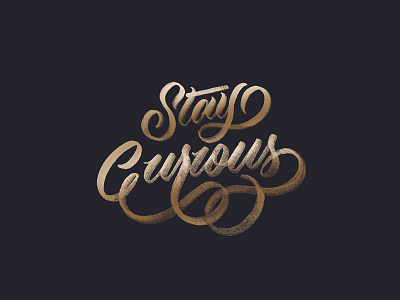 Stay Curious calligraphy customtype design graphic design handlettering handmadefont lettering logo typography