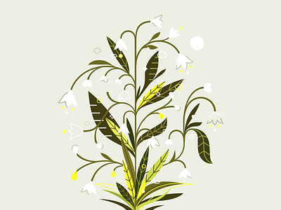 Konwalie ✽ belcdesign flowers illustrator konwalie leafs nature nature illustration patrykbelc vectors