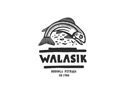 Walasik / fishing farm breeding farm fish trout water