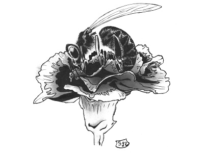 Bee design illustration