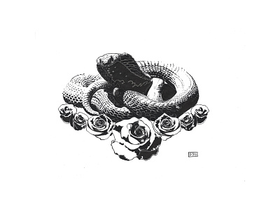 Cobra, roses design illustration
