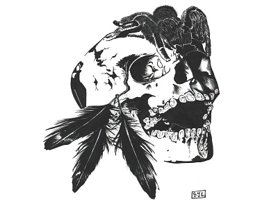 Skull, feathers and tarantula design illustration