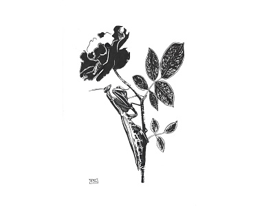 Mantis, rose design illustration