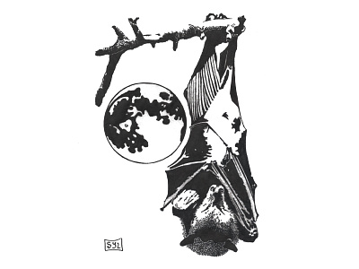 Bat and moon design illustration