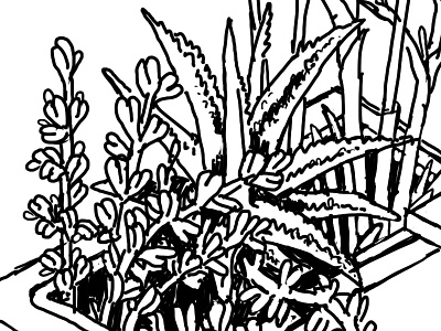 large ink detail - Plants
