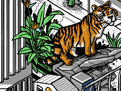 Tiger color digital drawing illustration isometric isometric illustration line mural wacom