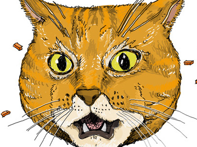 Angry Tabby animal cat color digital drawing pen