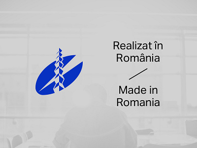 Realizat în România / Made in Romania download logo romania vector