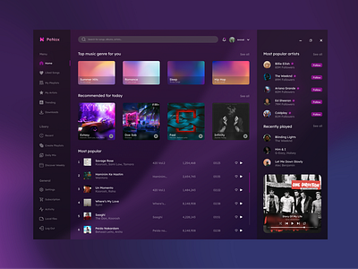 Music Player Desktop Version | Penox