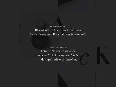 Dior Gift Shop art direction grid luxury minimal type typo web webdesign