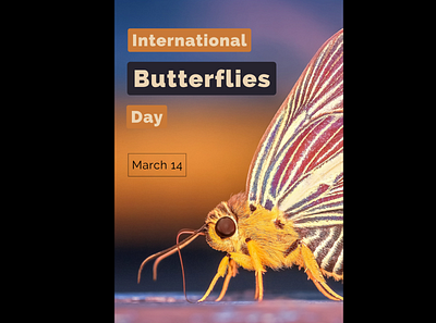 International Butterflies Day – March 14 canva graphic design poster