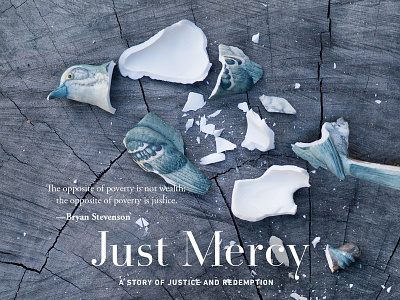 UCSB Reads Just Mercy library mockingbird porcelain ucsb