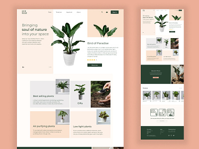 PLANT SHOP - LANDING PAGE UI dailyui figma figmadesign glassmorphism landing design landing page landing page concept landing page design landing page ui landingpage ui ui design ui designer uiux ux uxdesign web webdesign webdesigner website