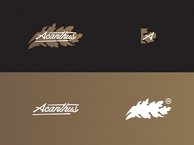 Acanthus App | Branding proposal acanthus app branding corporate design graphic identity logo visual