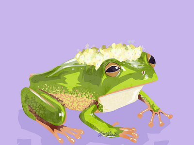 Frog Prince